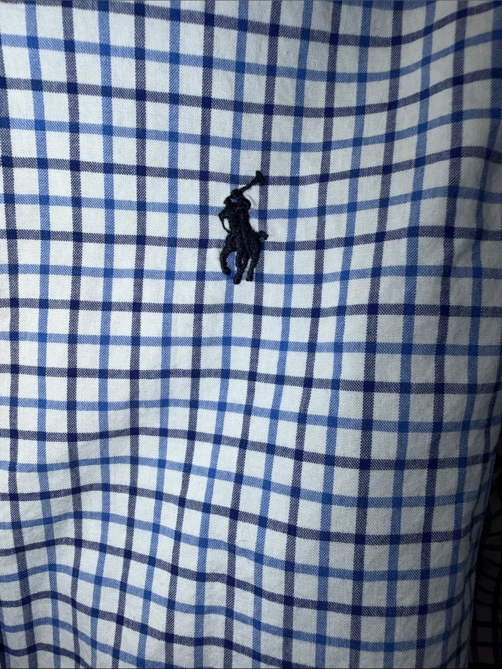 Ralph Lauren Boys'‎ White & Blue Checked Button-Down Shirt